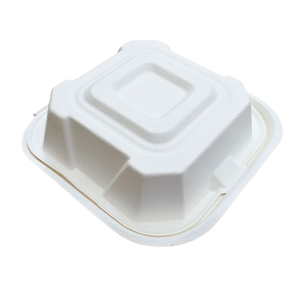 300-piece set of 6x6-inch hinged clamshell takeaway containers, compact disposable food packaging ideal for restaurants, delivery, and portion control