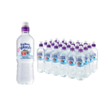 Radnor Hills Splash Forest Fruits 500ml x 24